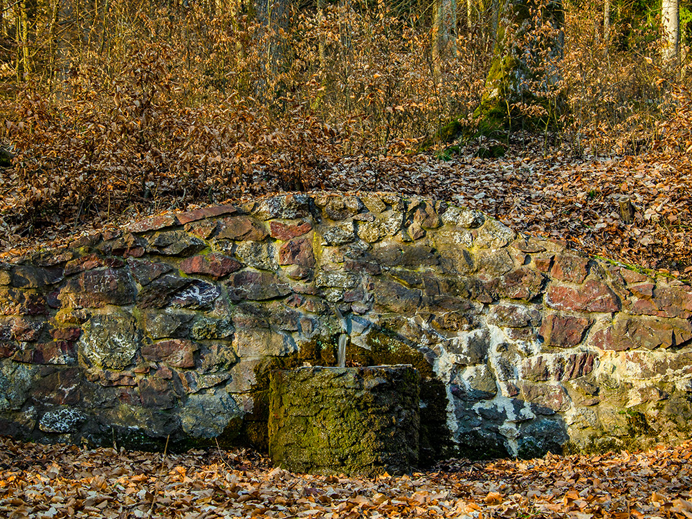 Der Knochentriesch-Brunnen in Biedenkopf