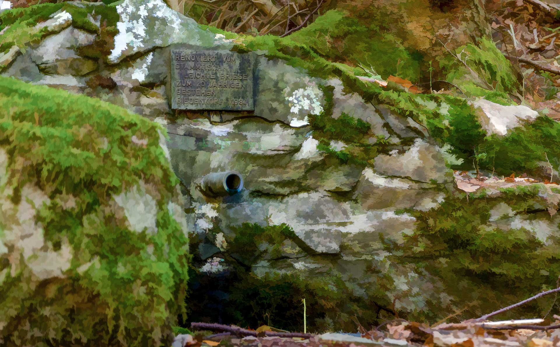 Der Ludwigsborn in Biedenkopf, Brunnen